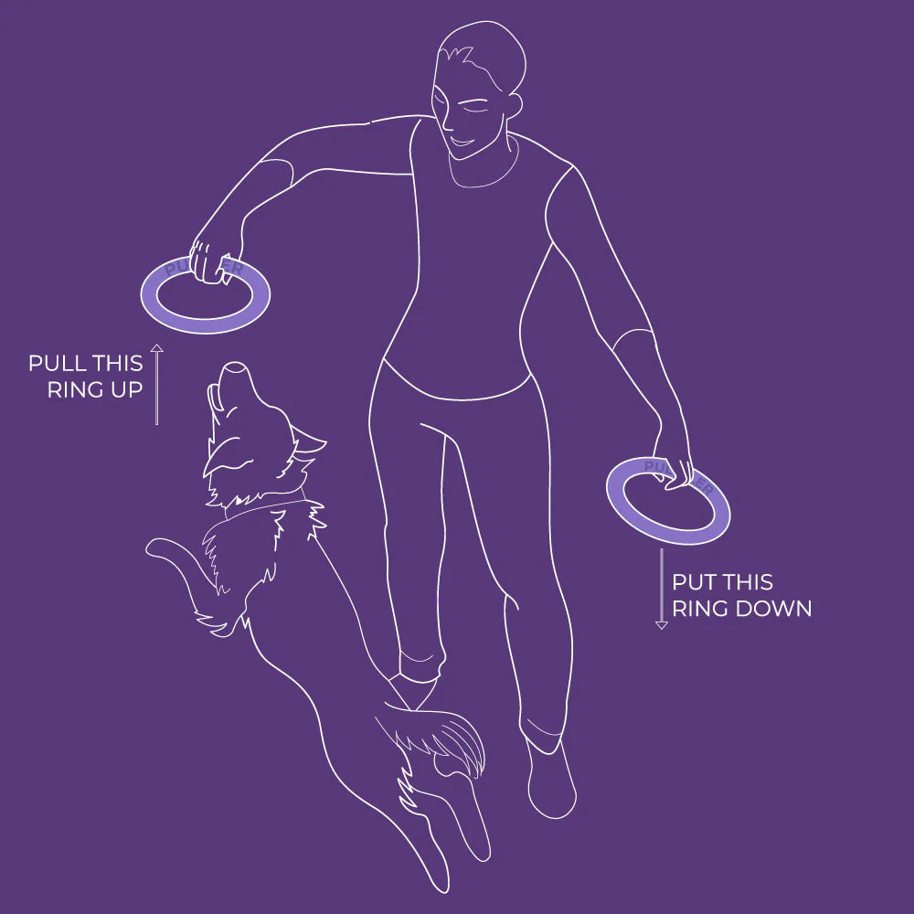 Puller Fitnesstool — product- en sfeerfoto 10
