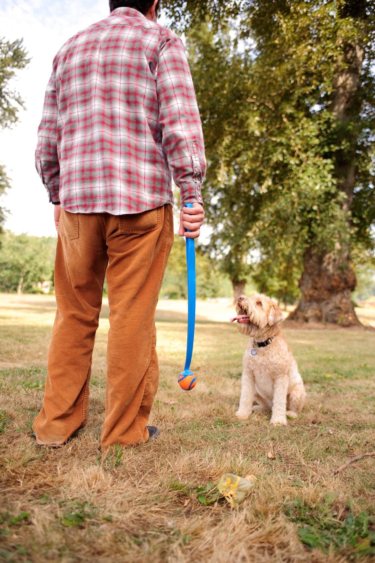 Baasje met Chuckit! ballenwerper en Ultra Ball, de hond wacht op de worp