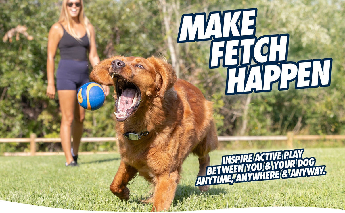 Hond rent enthousiast op het gras, baasje houdt een Chuckit! Ultra Squeaker Bal vast
