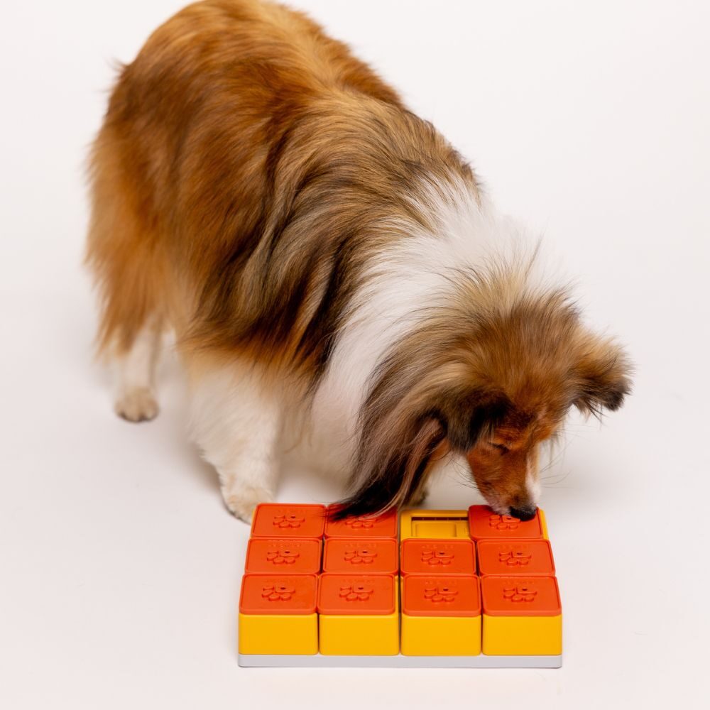 Hond duwt met zijn neus de deksels van de Pawzler Treat Maze Set open