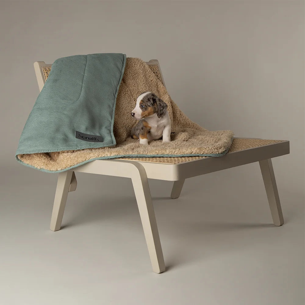 Scruffs Cosy Deken — product- en sfeerfoto 12