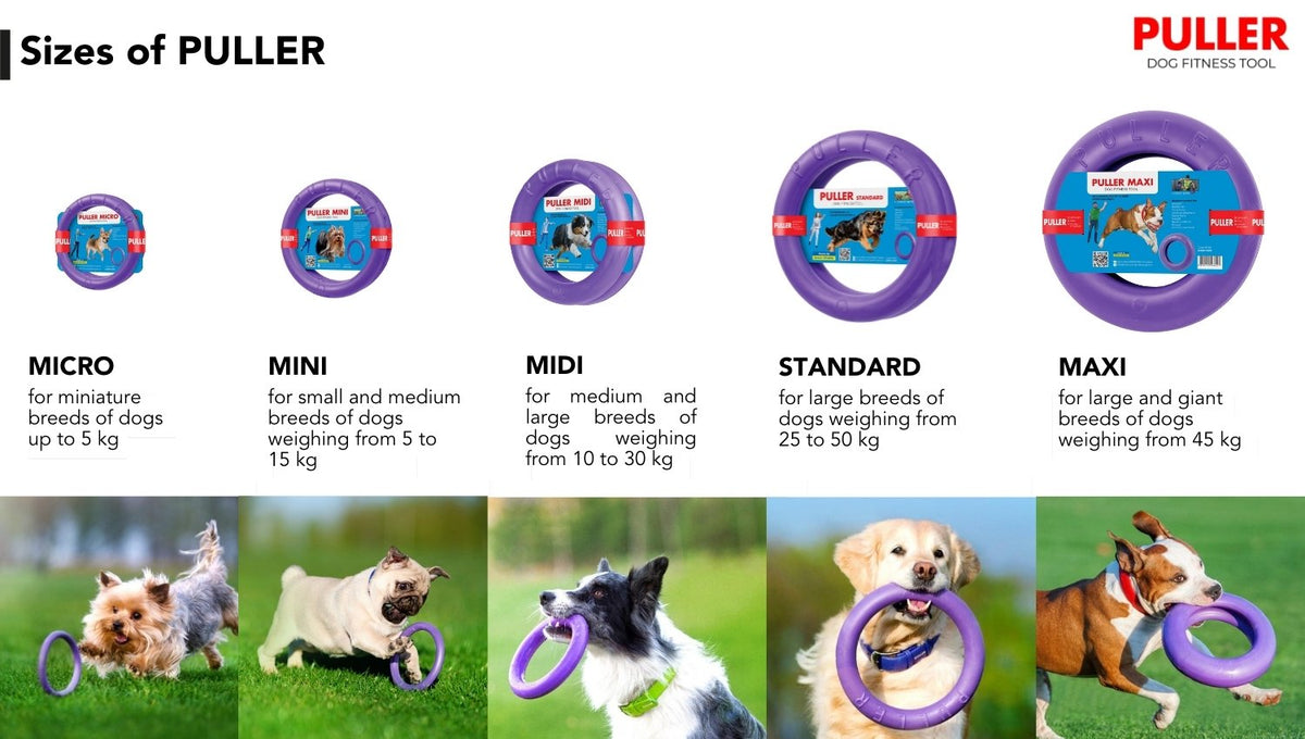 Puller Fitnesstool — maattabel