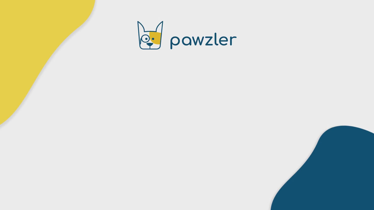 Pawzler Louvre puzzelstuk: video van een hond die de puzzel oplost